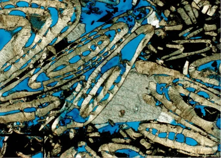 Blauharz-imprägnierter Karbonat-Dünnschliff